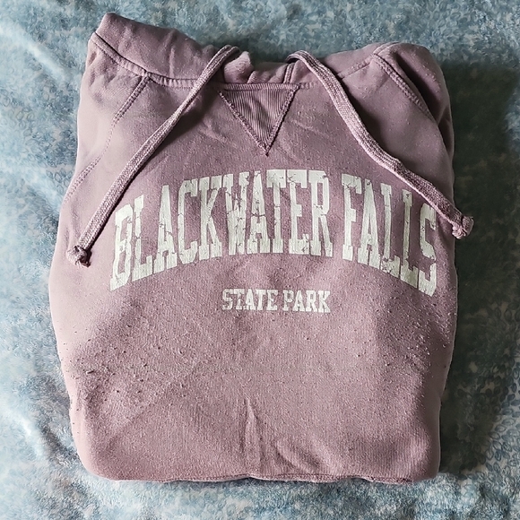 Blackwater Falls State Park Women's Purple Hoodie - Picture 1 of 3